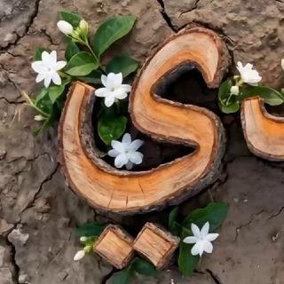قناة خوله و الحسن المجتبى عليهم السلام~•`