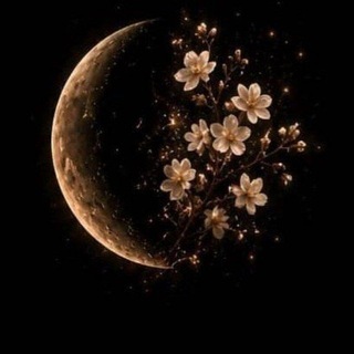 نجوایِ قلم🌒