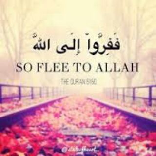 ففروا إلى الله 📚📚دروس المسجد