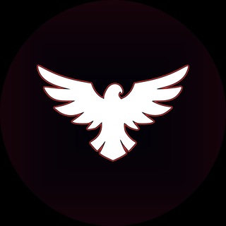falcon