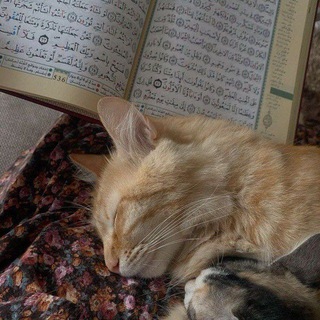 سَكَنْ"♡