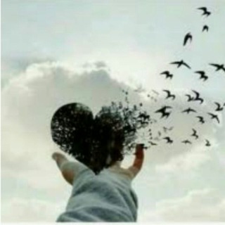 الۛۖقادُمۘ اجۚمۘلۛ ۦٰ‏┋❥ ͢˓🦁💛ۦ‏