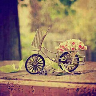 متلازمة عشق ❤