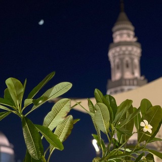 فَإِنِّي قَرِيبٌ🌼