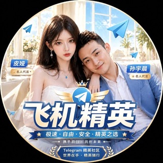 飞机精英