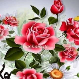 قرآني سعادتي