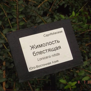 выход здесь❗️