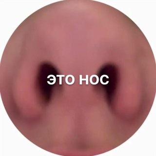 токсичная солянка Фьеви