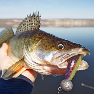 Рыбалка в Вольске Fishing_In_Volsk