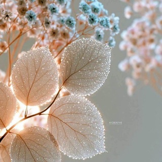 “نـ๛ـﻣَـــاټٌ مُعــطَّـرة“🌸