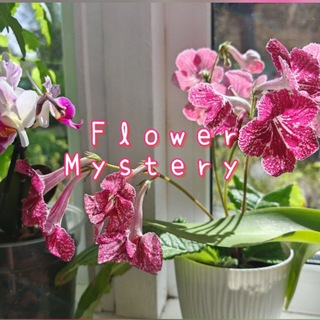 °Flower Mystery° / °~магазинчик украшений ~°