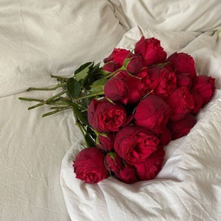 شَفَقٌ♥️`