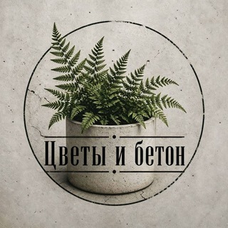 Цветы и бетон