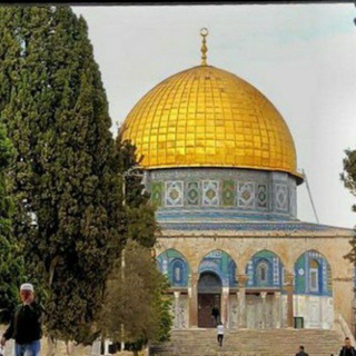 نسمات عطرة🇵🇸