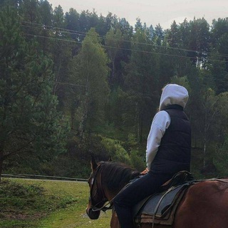 🏅Красивые видео и фотки с лошадьми 🐎