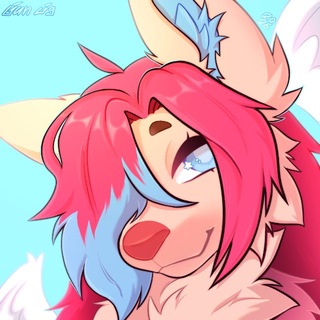 foxxybat🦇