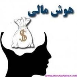 هوش مالی