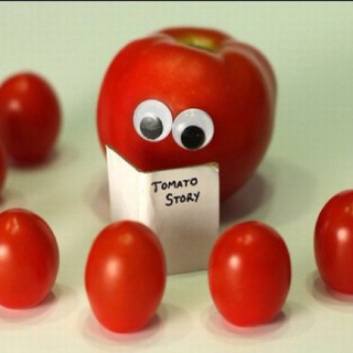 Tomato story☀️
