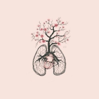 طمأنينة🕊..