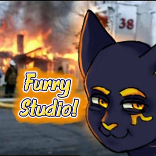 Furry Studio!