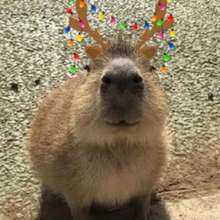Уютный квартал 🥰🥹