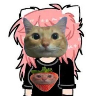 Фурі фембої | Furry Femboys