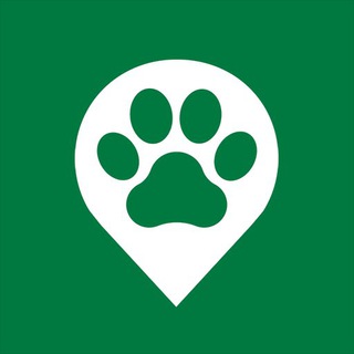 Furry Migration (Official)
