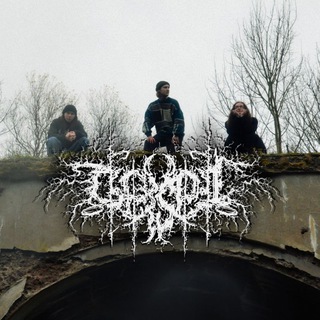 𝑮𝒆𝒊𝒔𝒆𝒍