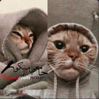 جامعي منكوب 📿