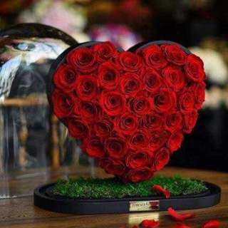 ﺟـﻧـة اﺂݪـو٘ࢪد🌹