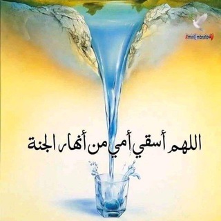 🌸للجَنَه نسعيَ🌸