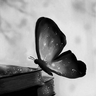 اقتباسات قلـــ🖋ــــــــم