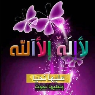 💞تناصح الأخاء💞