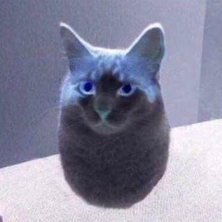гнег каталог
