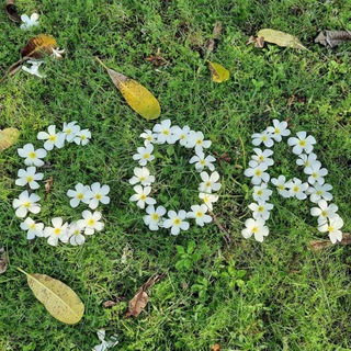 ГОА | ПРОГРАММЫ ЭКСКУРСИИ | GOA