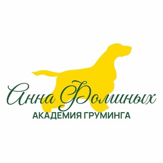 Анна Юхта Академия груминга