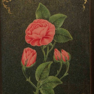 دامنی ازگل