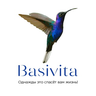 Школа Безопасной Жизни BASIVITA