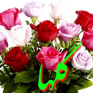 گلها
