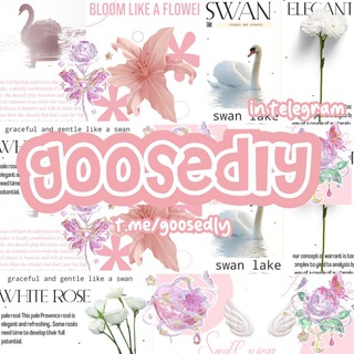 𓊔ׁ ੭ 🦢 .. Goosedly ׅ 𖨂