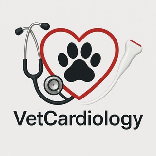 VetCardiology🫀Горбунов Илья