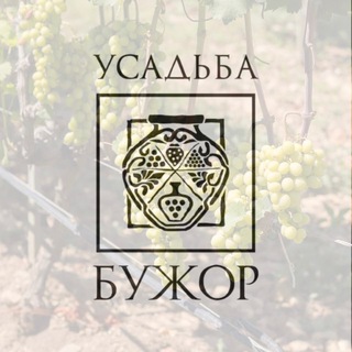 Усадьба Бужор | Саженцы винограда