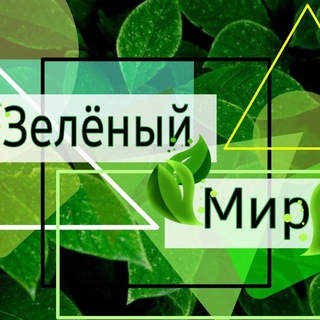 Зелёный мир🌿 Микрозелень. Севастополь☘