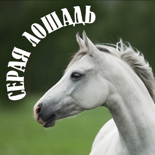 Конный клуб "Серая лошадь" Троицкое" 🐎