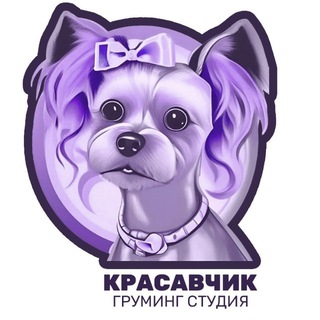Груминг Студия Красавчик