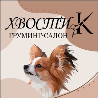 ХвостиК. Стрижка собак и кошек. Уфа