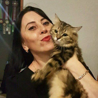 Питомник Сибирских кошек "Грациозный Зверь"🐈‍⬛🐈💥🐾