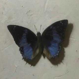 39.36