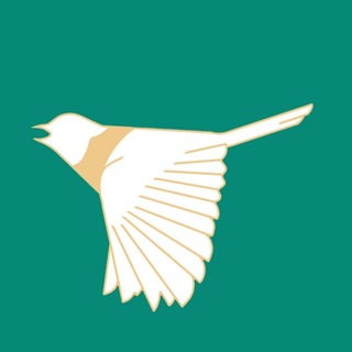 Пересмешник ВолгГМУ