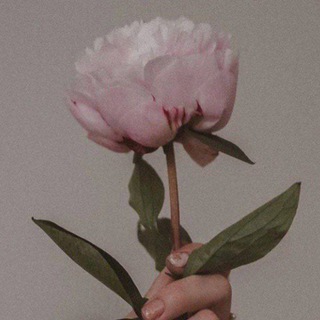 Whisper's | همساتي
